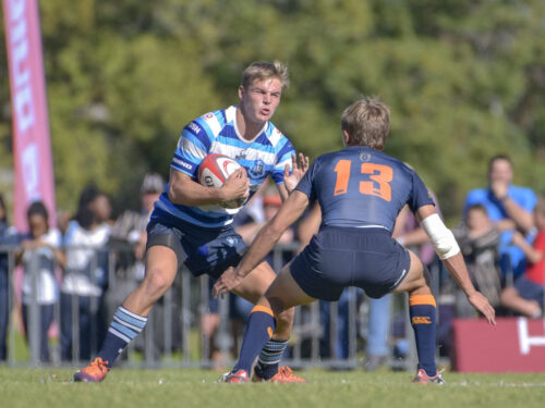 Rugby Seniors - Wildeklawer