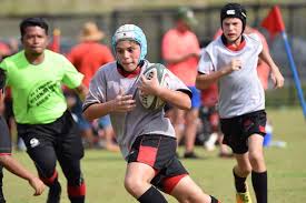 Rugby Junior – Wildeklawer